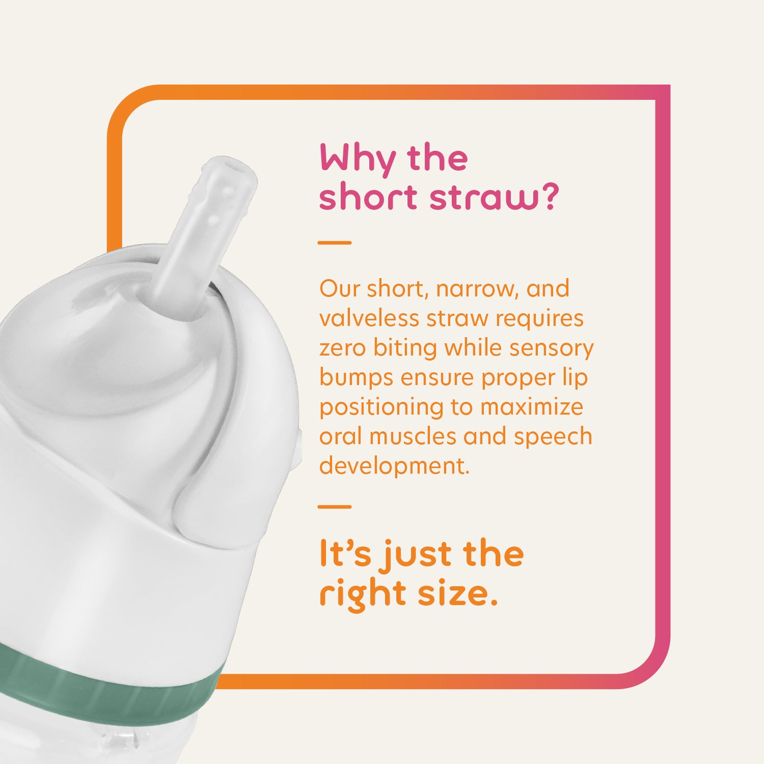 Trainer Straw Cup FAQs